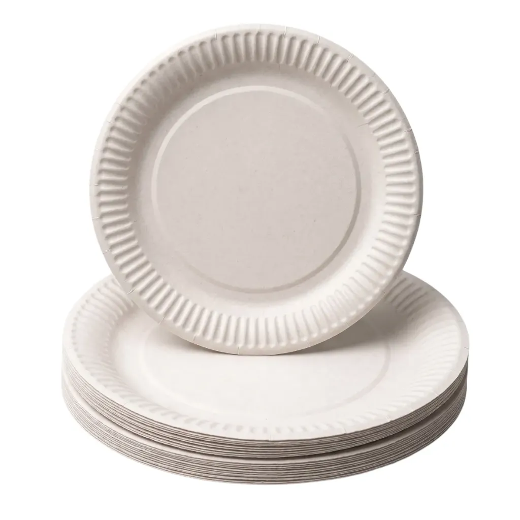 Assiettes en Carton Rondes Blanc - Ø 23 cm (Carton de 500 pcs)