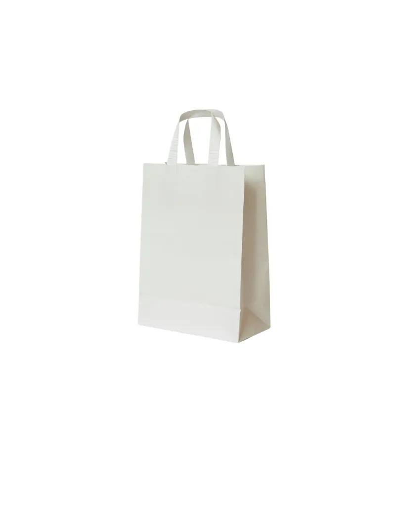 [70.01.026.0250] Sacs en Papier Blanc - 26+17x25 cm (Carton de 250 pcs)